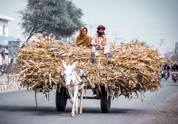 Pakistan